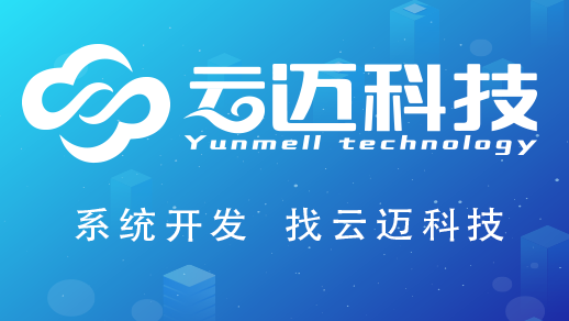 ​电商ERP系统开发的过程包括哪些步骤？