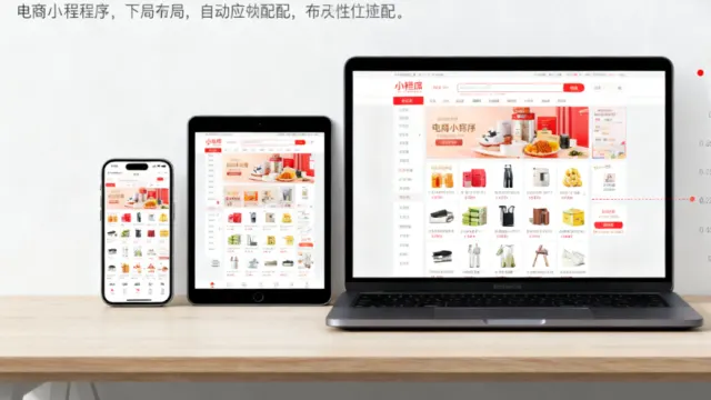 专业定制小程序开发，打造专属商业引擎​