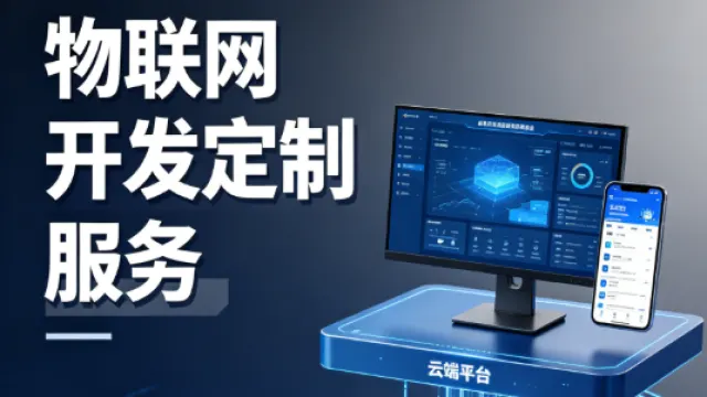 物联网开发定制服务，为什么说买标准平台和找人定制是两条完全不同的路